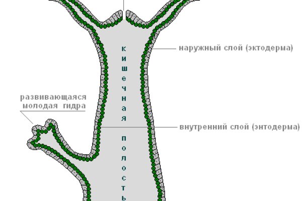 Кракен сообщество