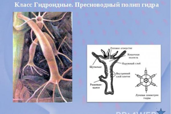 Кракен онлайн