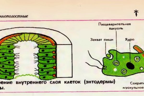 Почему не работает сайт кракен