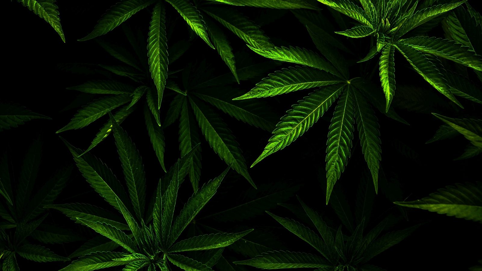 Кракен kr2web in